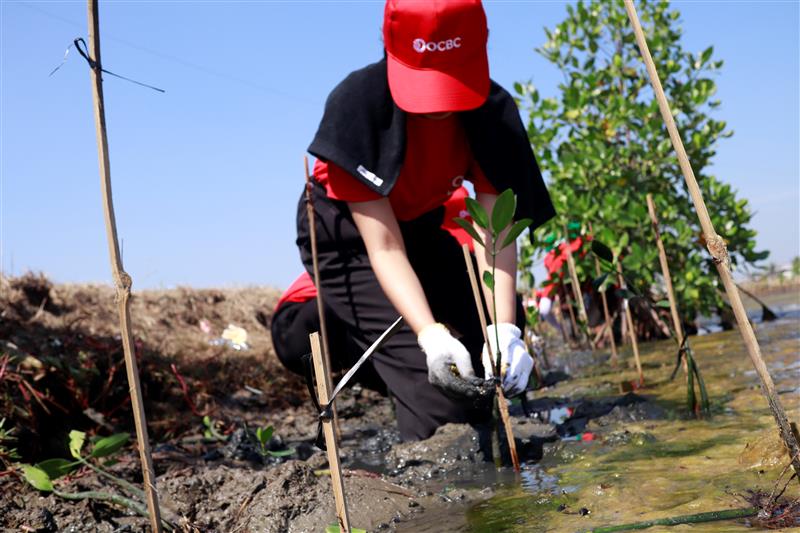 CSR OCBC bersama Eva & Ramli BER-AKSI untuk Bumi yang Lebih Hijau