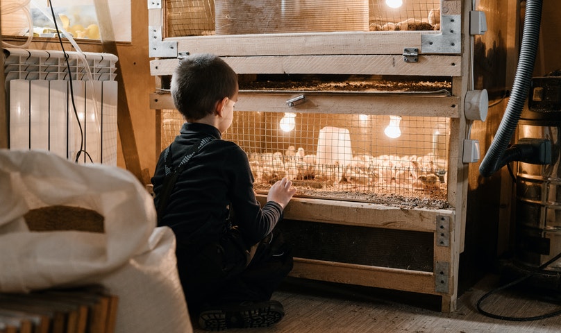 Franchise Rocket Chicken, Segini Modal Awal yang Diperlukan!