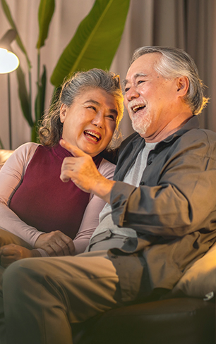 Premier Silver Segment