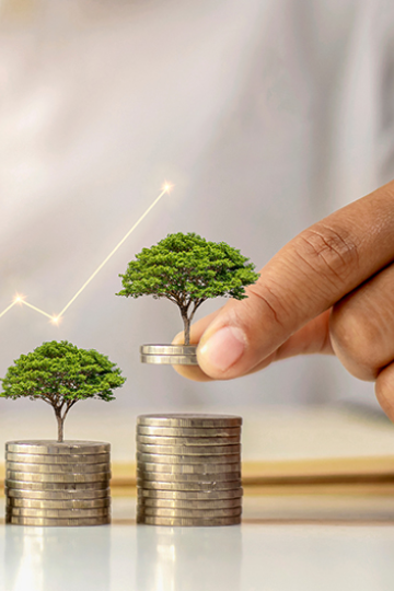 Treasuri - Debt Securities